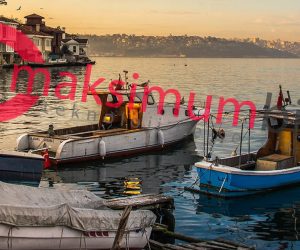 beykoz asus servisi